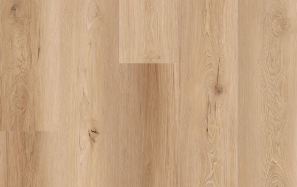 Picture of Lions Floor - Comfort Heights Camden Ridge