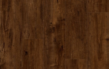 Picture of Lions Floor - Comfort Heights City Pointe