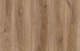 Picture of Lions Floor - Lone Star Spirit Skyfall Groove