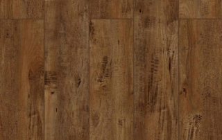 Picture of Lions Floor - Lone Star Spirit Chocolat