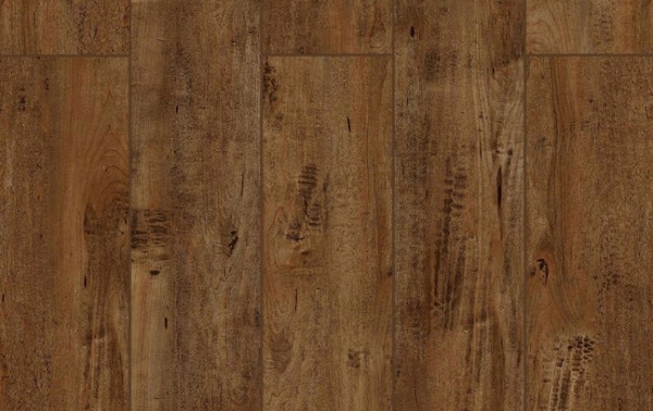 Picture of Lions Floor - Lone Star Spirit Chocolat