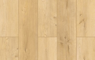 Picture of Lions Floor - Lone Star Spirit More Mesa