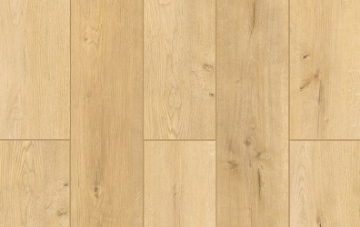 Picture of Lions Floor - Lone Star Spirit More Mesa