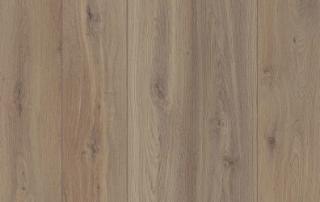 Picture of Lions Floor - Lone Star Spirit XL Shangri La