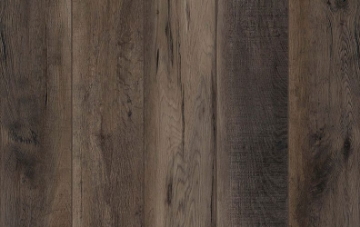 Picture of Lions Floor - Lone Star Spirit XL Ballroom Rodeo