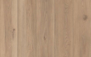 Picture of Lions Floor - Lone Star Spirit XL Artisan Touch