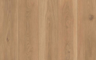 Picture of Lions Floor - Lone Star Spirit XL Backyard Garnish