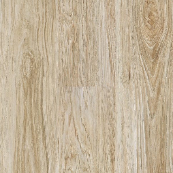 Picture of Next Floor - Incredible Wheatfield