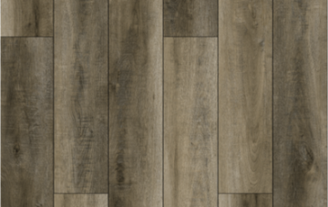 Picture of Lions Floor - Natural Essence Plus Medieval