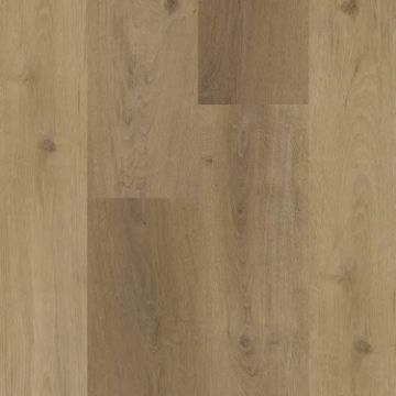 Picture of Legendary Floors - Kingsport Meadow