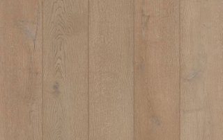 Picture of Lions Floor - Indoor Delight Tanin Honey