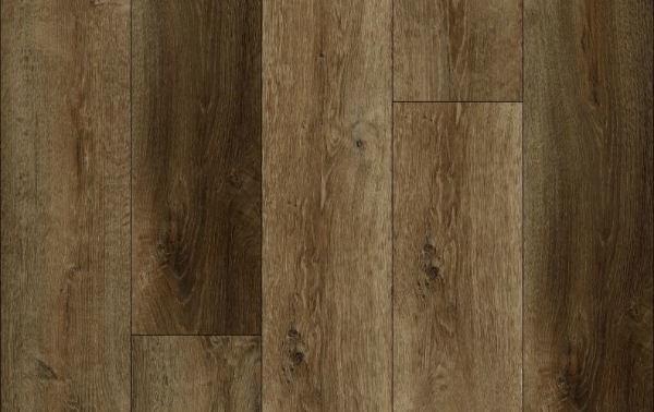 Picture of Lions Floor - District Irvine