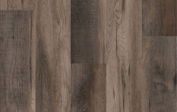 Picture of Lions Floor - District Westfield