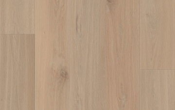 Picture of Lions Floor - District Carmel