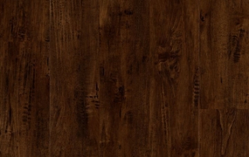 Picture of Lions Floor - District Clayton