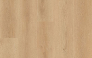 Picture of Lions Floor - District Billings