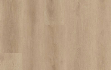 Picture of Lions Floor - District Chesterbrook