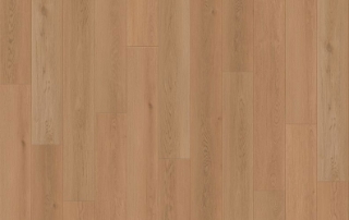 Picture of Lions Floor - Seaside Summit Sunrise Sparkle