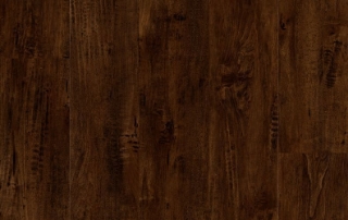 Picture of Lions Floor - District Pro Capitol Hill