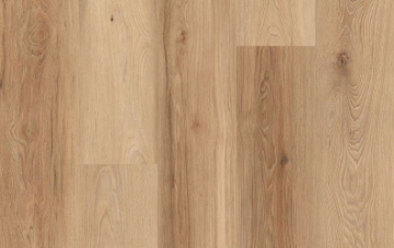 Picture of Lions Floor - District Pro Sun Valley