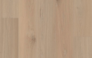 Picture of Lions Floor - District Pro East Aspen