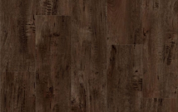 Picture of Lions Floor - District Max Winnetka