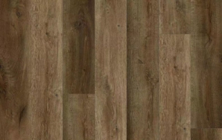 Picture of Lions Floor - District Max Brookline