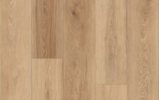 Picture of Lions Floor - District Max Overland Park