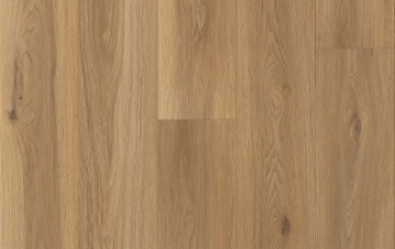 Picture of Lions Floor - District Max Greenwich