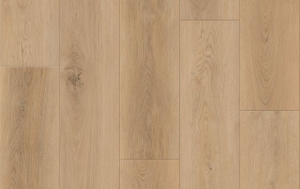 Picture of Lions Floor - District Max Atherton