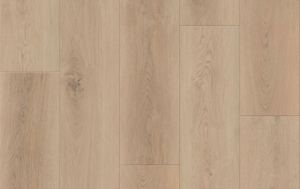 Picture of Lions Floor - District Max Scarsdale