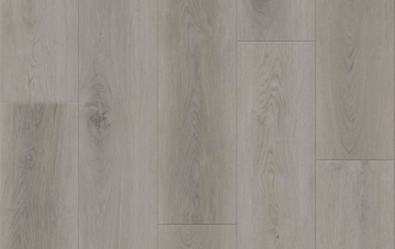 Picture of Lions Floor - District Max Hillsborough