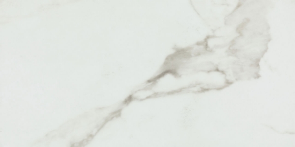 Picture of Daltile - Grantshire 12 x 24 Glue Down 20mil Catania Calacatta