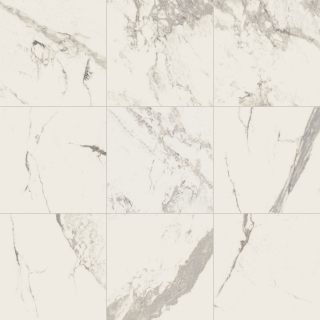 Picture of Daltile - Marble Attache 24 x 24 Polished Calacatta