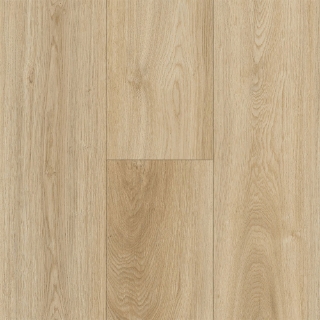 Picture of Robbins - Horizon's Embrace Desert Sun