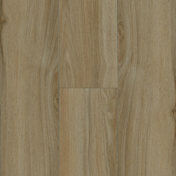 Picture of Robbins - Ingenious Plank Stag Run