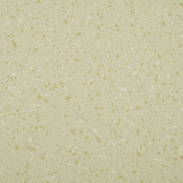 Picture of American Biltrite - Texas Granite 24 x 24 Honest Beige