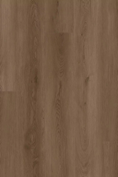 Picture of Happy Feet Intl. - Dynamic Fit Santa Monica