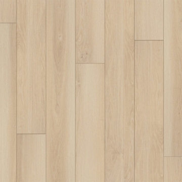 Picture of Happy Feet Intl. - Regency Sandy Bay