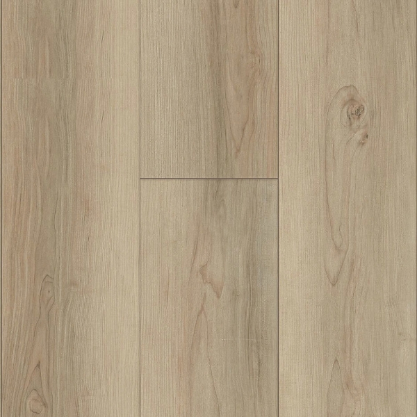 Picture of Happy Feet Intl. - Rescue Tahoe