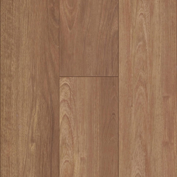 Picture of Happy Feet Intl. - Rescue Red Rocks