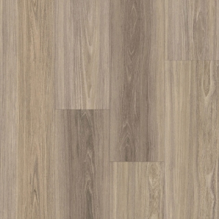 Picture of Happy Feet Intl. - Urban Design Click Dubai