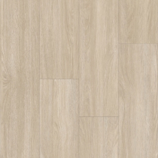 Picture of Happy Feet Intl. - Urban Design LL Sydney