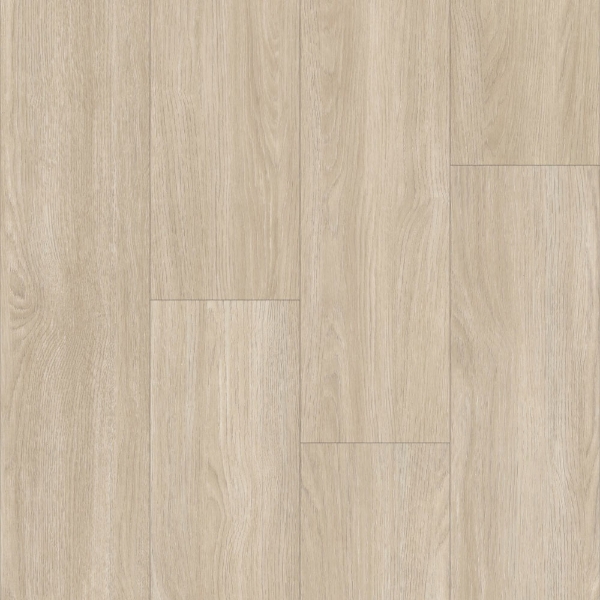 Picture of Happy Feet Intl. - Urban Design LL Sydney