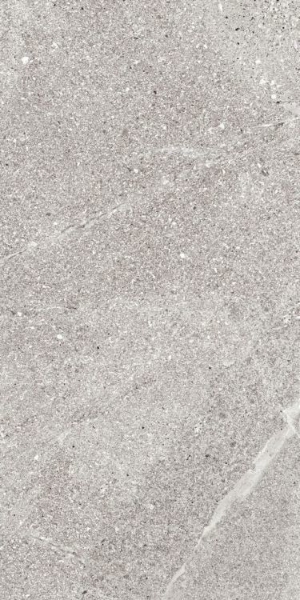 Picture of Elysium - Tune 12 x 24 Rock