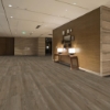 Picture of Shaw Floors - Terrain II 20 Mil Alder