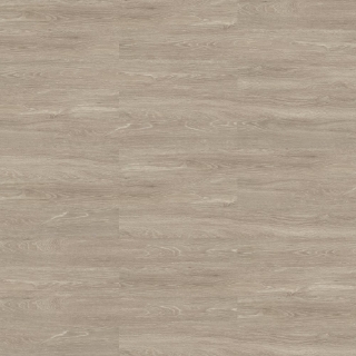 Picture of Shaw Floors - Terrain II 20 Mil Echo