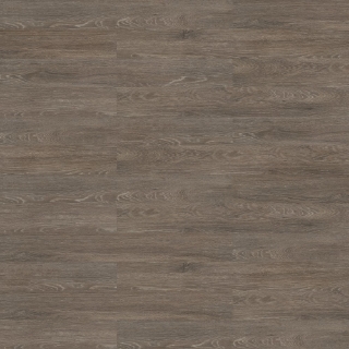 Picture of Shaw Floors - Terrain II 20 Mil Nest