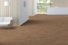 Picture of Shaw Floors - Terrain II 20 Mil Pirch