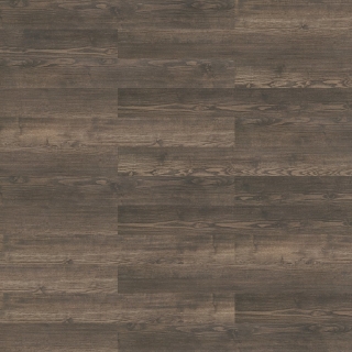 Picture of Shaw Floors - Terrain II 20 Mil Thicket